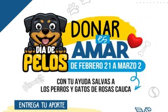 DONAR ES AMAR - POR LOS PELUDITOS DE ROSAS, CAUCA