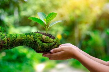 CONOCE EL SEMILLERO DE INVESTIGACIÓN EN GESTIÓN AMBIENTAL